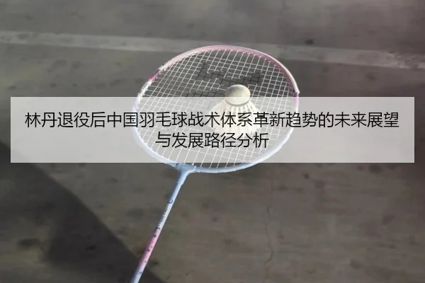 林丹退役后中国羽毛球战术体系革新趋势的未来展望与发展路径分析